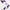 3 Misconceptions About Lavender - Sole Toscana