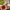 Benefits of ACV and How to Make it at Home - Sole Toscana