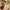 Juicing: 8 Facts You Should Know - Sole Toscana
